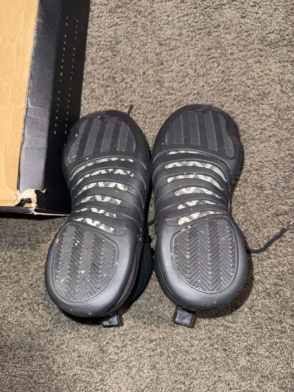 Jordan 12 retro